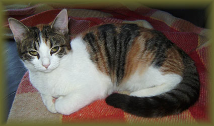 Greta