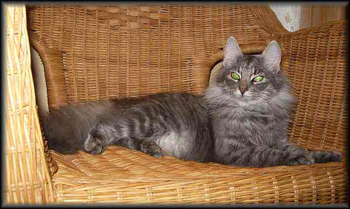 Anouk