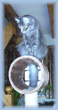 Anouk