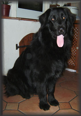 charlie1