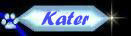 Katzen