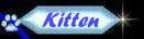Kitten